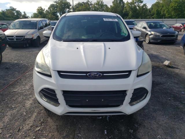 Photo 5 from auction – 2014 FORD ESCAPE SE with VIN 1FMCU0GX8EUD88823