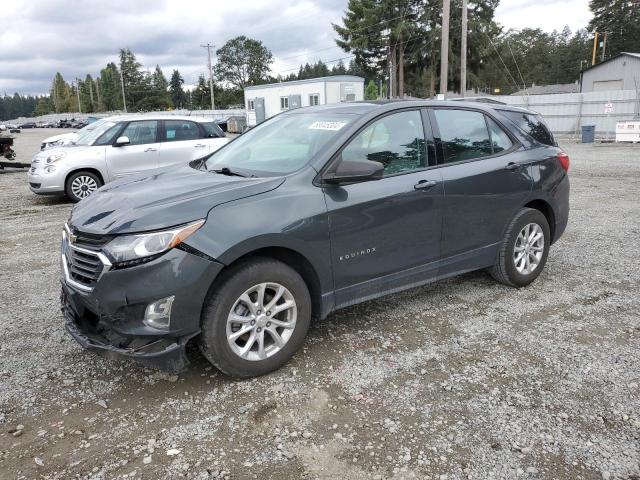 CHEVROLET EQUINOX LS 2019 with VIN 3GNAXSEVXKS595846 - Photo from auction