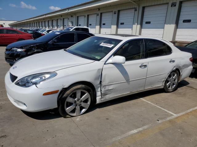 LEXUS ES 330 2005 with VIN JTHBA30G655063276 - Photo from auction