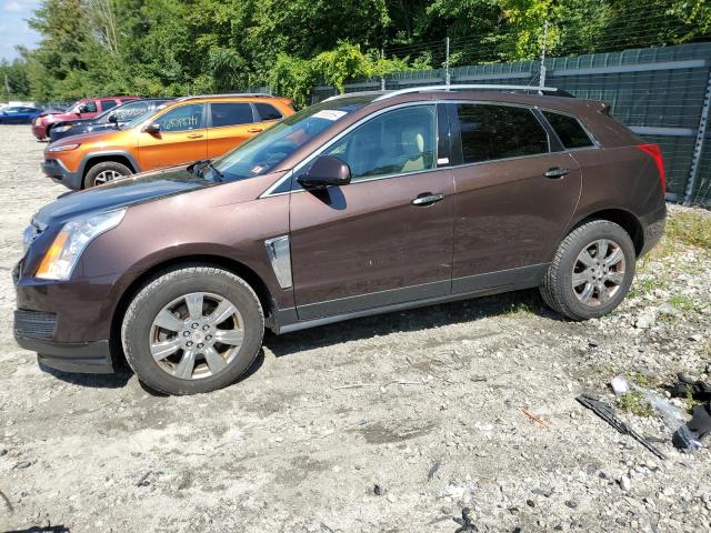 CADILLAC SRX LUXURY 2015 with VIN 3GYFNEE30FS528564 - Photo from auction