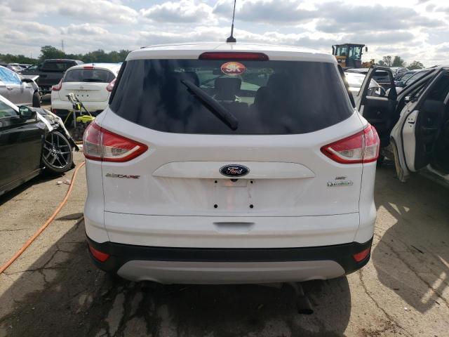 Photo 6 from auction – 2014 FORD ESCAPE SE with VIN 1FMCU0GX7EUC67412