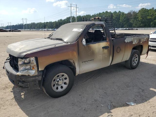 CHEVROLET SILVERADO 2011 with VIN 1GCNKPEA4BZ427299 - Photo from auction