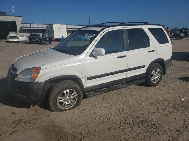 HONDA CR-V EX 2004 with VIN JHLRD78874C028397 - Photo from auction