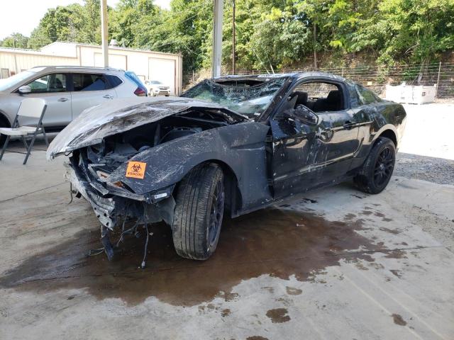 FORD MUSTANG 2012 with VIN 1ZVBP8AM1C5274476 - Photo from auction