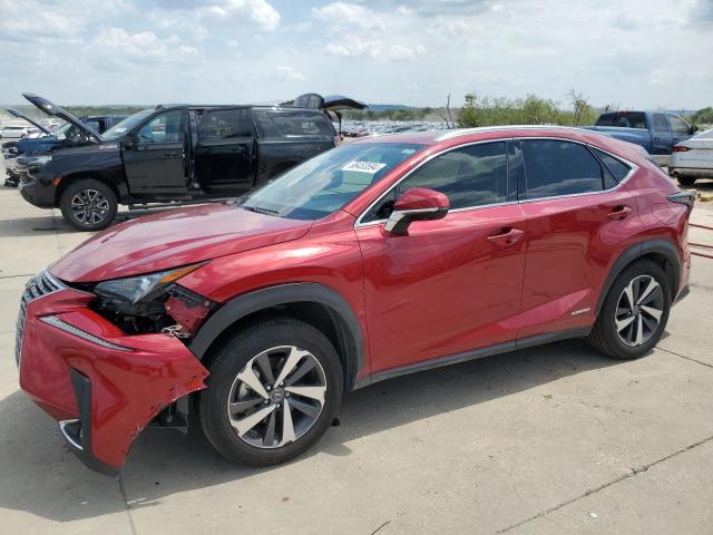 Photo 1 from auction – 2020 LEXUS NX 300H with VIN JTJGJRDZ7L5004074