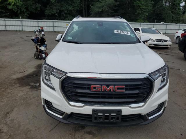 Photo 5 from auction – 2023 GMC TERRAIN SL with VIN 3GKALMEG7PL222688