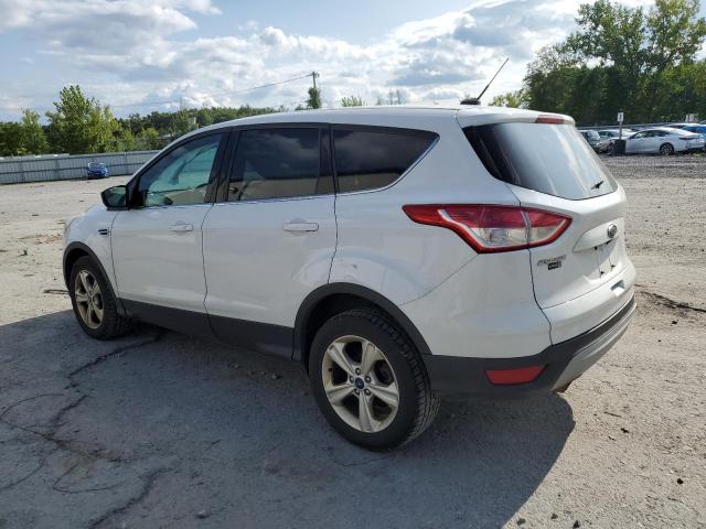 Photo 2 from auction – 2014 FORD ESCAPE SE with VIN 1FMCU9GX2EUC72473