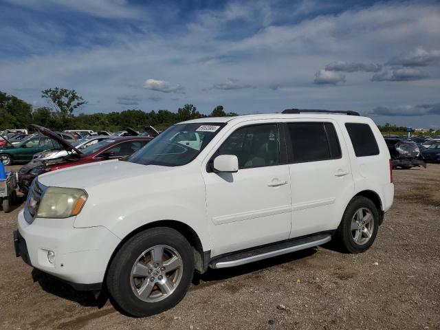HONDA PILOT EXL 2009 with VIN 5FNYF486X9B037296 - Photo from auction
