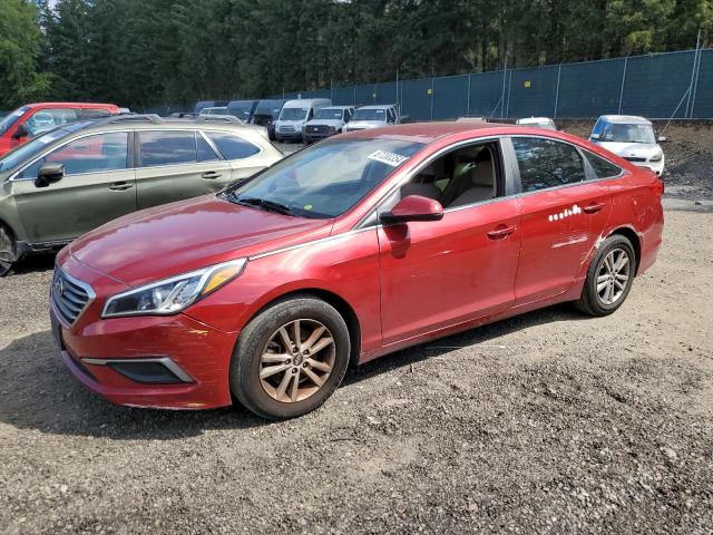 HYUNDAI SONATA SE 2016 with VIN 5NPE24AF6GH274133 - Photo from auction