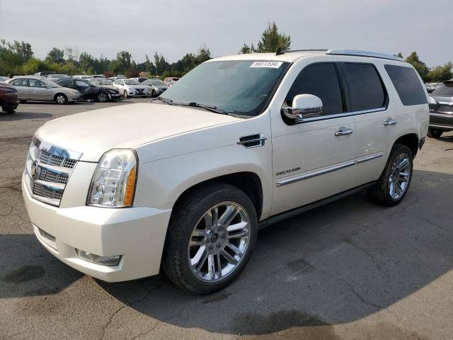 CADILLAC ESCALADE P 2010 with VIN 1GYUKDEFXAR156523 - Photo from auction