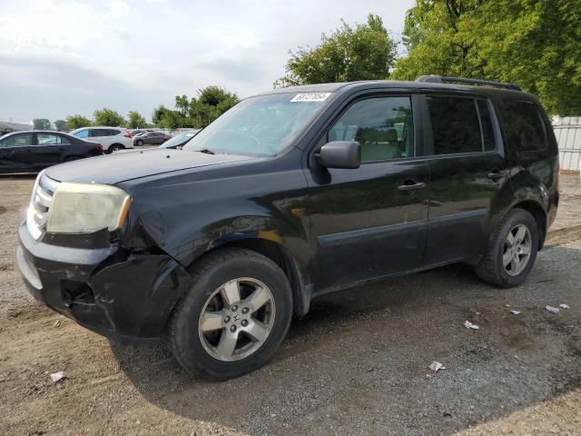 HONDA PILOT LX 2011 with VIN 5FNYF4H25BB501856 - Photo from auction