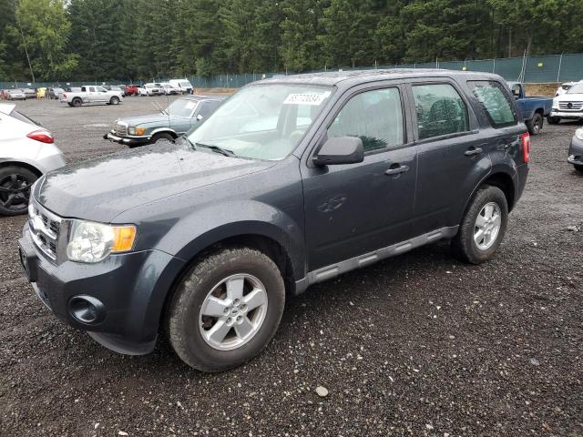 Photo 1 from auction – 2009 FORD ESCAPE XLS with VIN 1FMCU02749KB61735