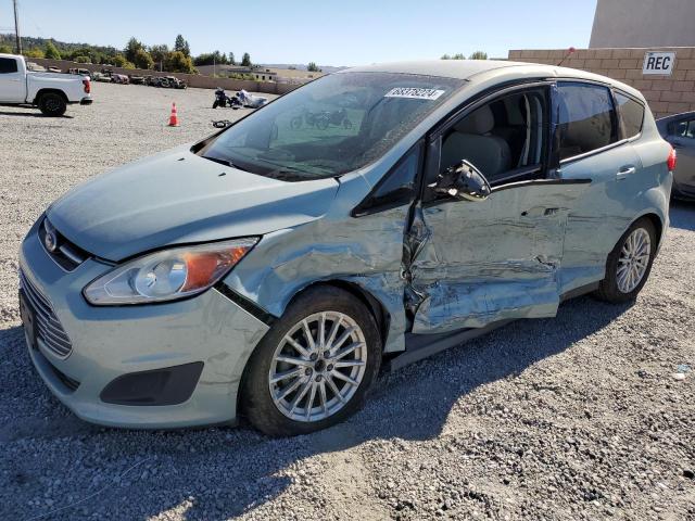 FORD C-MAX SE 2013 with VIN 1FADP5AU9DL502026 - Photo from auction