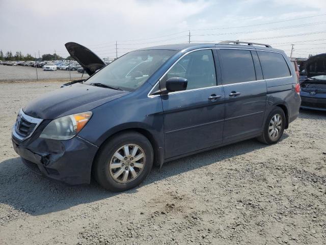 HONDA ODYSSEY 2009 with VIN 5FNRL38629B400388 - Photo from auction