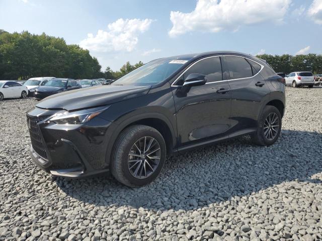 LEXUS NX 250 BAS 2024 with VIN 2T2ADCAZ4RC006423 - Photo from auction