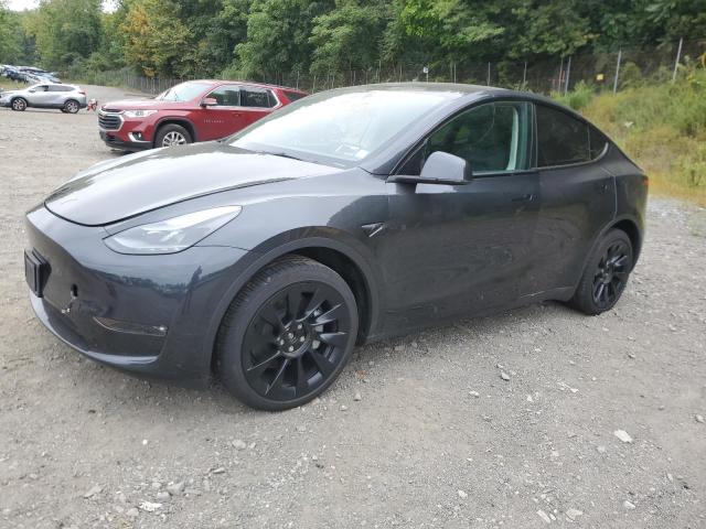 TESLA MODEL Y 2024 with VIN 7SAYGDEE8RF033193 - Photo from auction