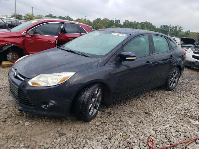 FORD FOCUS SE 2013 с VIN 1FADP3F22DL320468 - Фото с аукциона