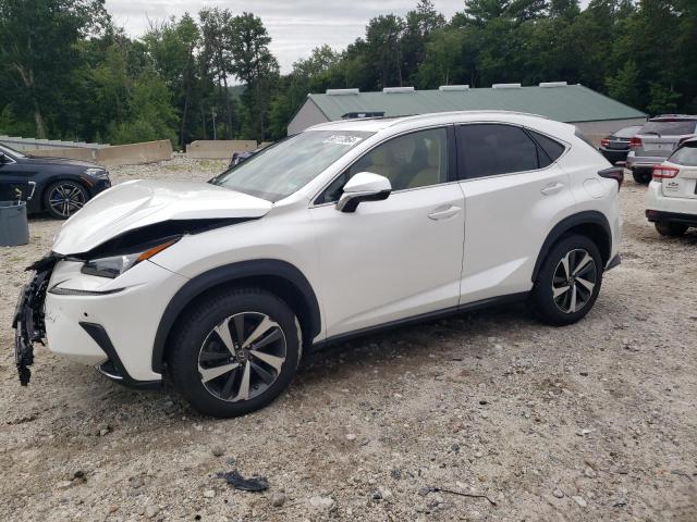 LEXUS NX 300 BAS 2019 with VIN JTJBARBZ4K2184529 - Photo from auction