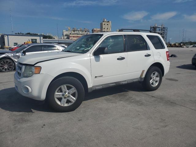 Photo 1 from auction – 2009 FORD ESCAPE HYB with VIN 1FMCU49399KD10344