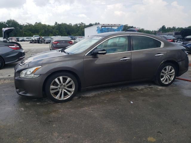 NISSAN MAXIMA S 2012 with VIN 1N4AA5APXCC866775 - Photo from auction