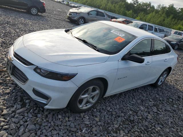 CHEVROLET MALIBU LS 2018 with VIN 1G1ZB5ST2JF199193 - Photo from auction
