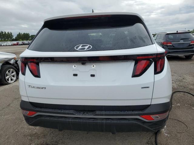 Photo 6 from auction – 2024 HYUNDAI TUCSON SEL with VIN KM8JBCDE0RU289064