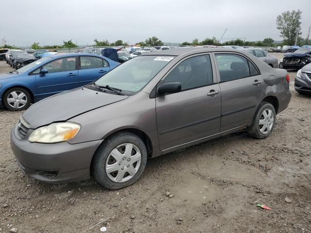 TOYOTA COROLLA CE 2003 with VIN 1NXBR32E33Z051820 - Photo from auction