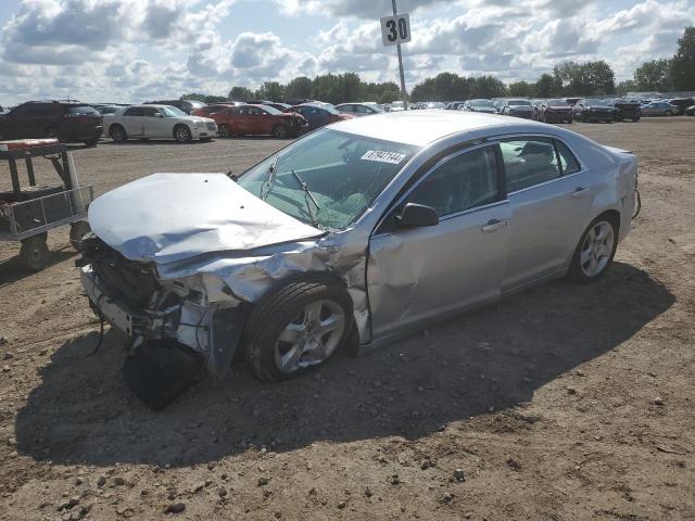 CHEVROLET MALIBU LS 2010 with VIN 1G1ZB5EB6AF244431 - Photo from auction