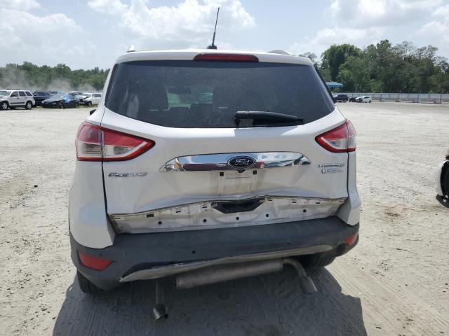Photo 6 from auction – 2014 FORD ESCAPE TIT with VIN 1FMCU0JX1EUE34176