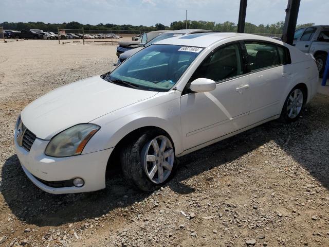 Photo 1 from auction – 2004 NISSAN MAXIMA SE with VIN 1N4BA41E94C913325