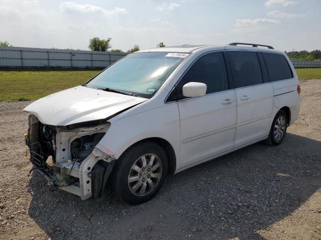 HONDA ODYSSEY EX 2008 with VIN 5FNRL38688B402726 - Photo from auction