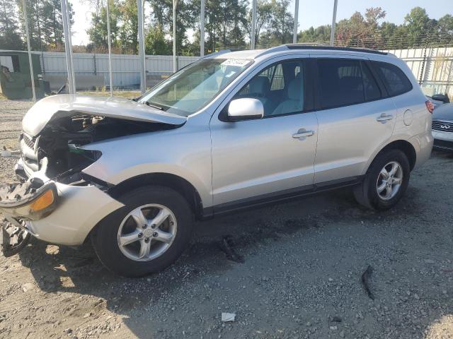 HYUNDAI SANTA FE G 2007 with VIN 5NMSG13D87H058487 - Photo from auction