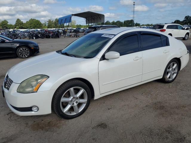 NISSAN MAXIMA SE 2004 with VIN 1N4BA41EX4C835766 - Photo from auction