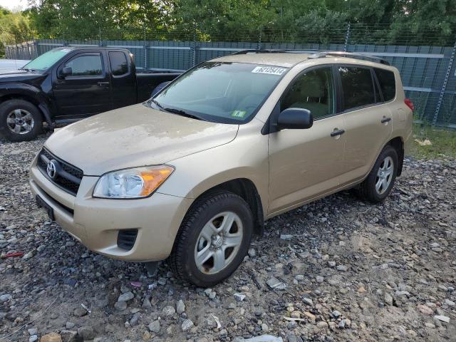 TOYOTA RAV4 2010 with VIN 2T3BF4DV4AW060266 - Photo from auction