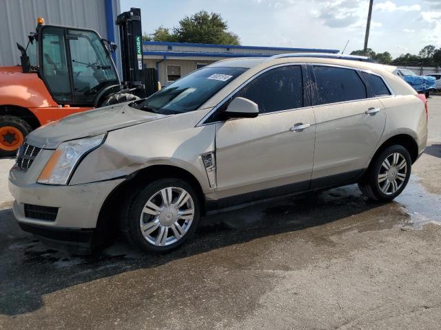CADILLAC SRX LUXURY 2012 with VIN 3GYFNAE37CS568239 - Photo from auction