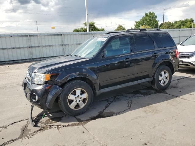 FORD ESCAPE XLT 2009 with VIN 1FMCU93G39KB97161 - Photo from auction