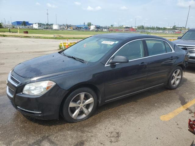 CHEVROLET MALIBU 1LT 2011 with VIN 1G1ZC5E17BF319210 - Photo from auction