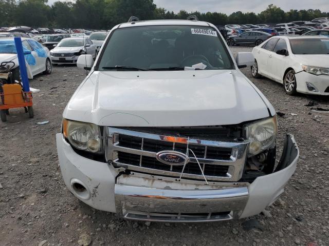 Photo 5 from auction – 2008 FORD ESCAPE LIM with VIN 1FMCU04198KE65179