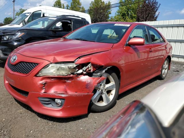 TOYOTA CAMRY BASE 2010 with VIN 4T1BF3EK8AU095867 - Photo from auction