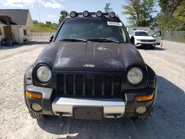 Photo 5 from auction – 2003 JEEP RENEGADE with VIN 1J4GL38KX3W677713