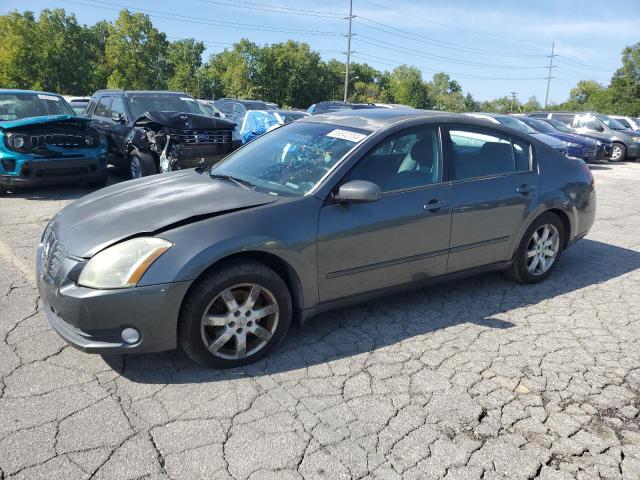 NISSAN MAXIMA SE 2005 with VIN 1N4BA41EX5C827295 - Photo from auction