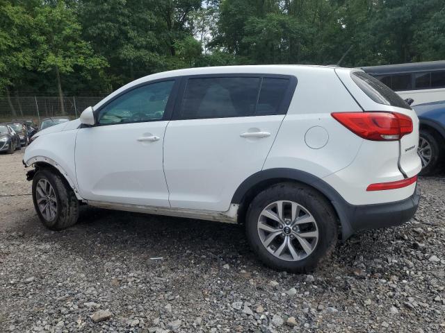 Photo 2 from auction – 2014 KIA SPORTAGE B with VIN KNDPB3AC6E7561773