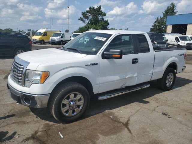FORD F150 SUPER 2010 with VIN 1FTEX1E86AFD10593 - Photo from auction