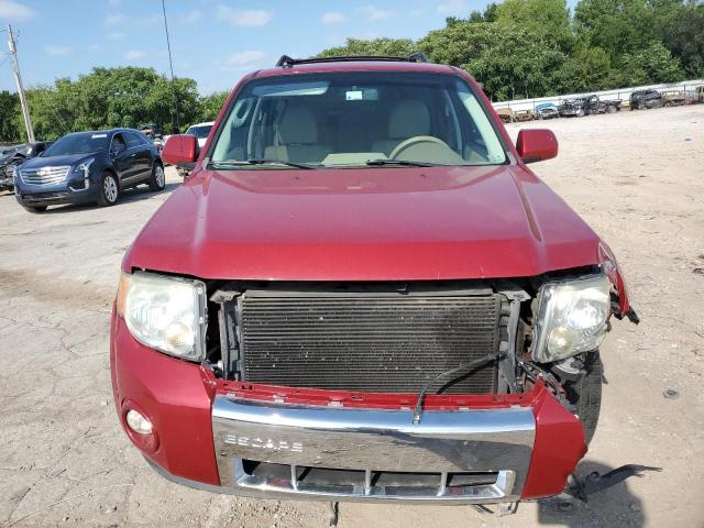 Photo 5 from auction – 2010 FORD ESCAPE LIM with VIN 1FMCU0EG7AKC88835