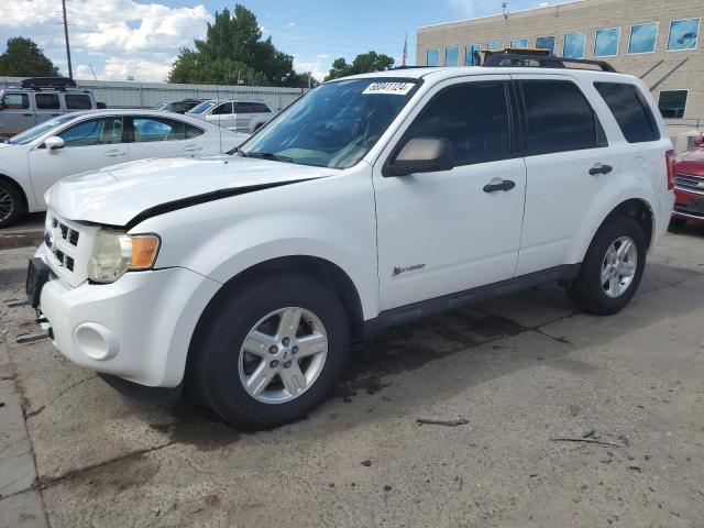 Photo 1 from auction – 2009 FORD ESCAPE HYB with VIN 1FMCU59399KA17890