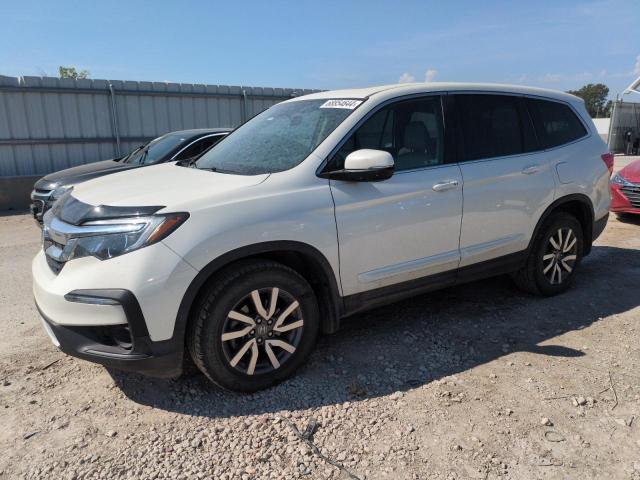 HONDA PILOT EXL 2019 with VIN 5FNYF6H43KB023711 - Photo from auction