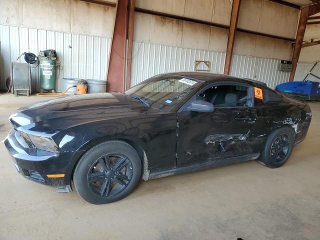 Photo 1 from auction – 2011 FORD MUSTANG with VIN 1ZVBP8AM4B5117071