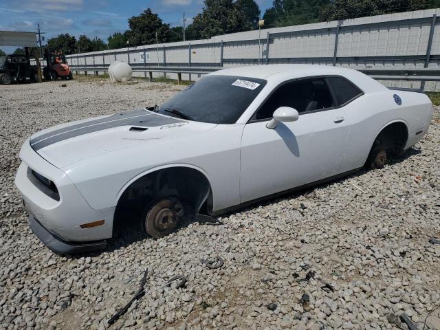 DODGE CHALLENGER 2013 with VIN 2C3CDYAG0DH596406 - Photo from auction