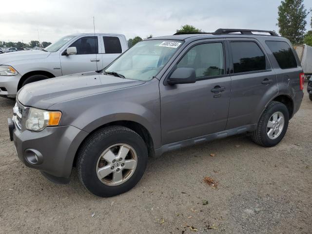 FORD ESCAPE XLT 2010 with VIN 1FMCU0D79AKB38937 - Photo from auction