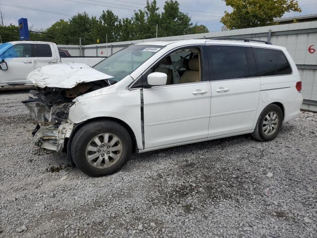 HONDA ODYSSEY EX 2009 with VIN 5FNRL38749B011129 - Photo from auction
